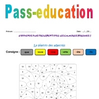 Féminin des adjectifs - Coloriage magique : Primaire 3 - PDF à imprimer