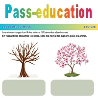 Les arbres - Les 4 saisons - Lecture : Maternelle 1 - PDF à imprimer