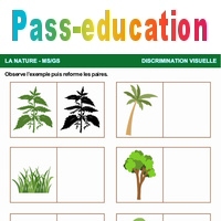 La nature - Discrimination visuelle : Maternelle 1, 2 - PDF à imprimer