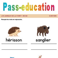 Les animaux de la forêt - Ecriture : Maternelle 1, 2 - PDF à imprimer