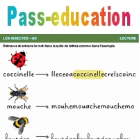La suite de lettres - Les insectes - Lecture : Maternelle 2 - PDF à ...