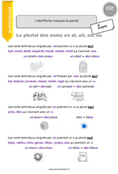 J’identifie les marques du pluriel. - Cours, Leçon : Primaire 3 - PDF à imprimer