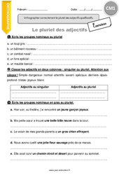 Orthographier correctement le pluriel des adjectifs qualificatifs. - Exercices avec correction : Primaire 4 - PDF à imprimer