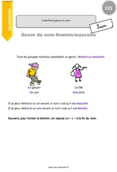J’identifie le genre du nom. - Cours, Leçon : Primaire 2 - PDF à imprimer