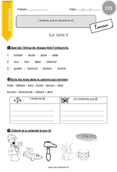 J’entends, je lis et j’écris le son [t]. - Exercices avec correction : Primaire 2 - PDF à imprimer