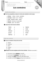 Les contraires - Examen Evaluation - Bilan : Primaire 4 - PDF à imprimer