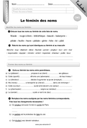 Le féminin des noms - Examen Evaluation - Bilan : Primaire 4 - PDF à imprimer