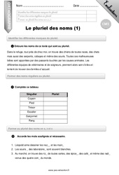 Le pluriel des noms (1) - Examen Evaluation - Bilan : Primaire 4 - PDF à imprimer