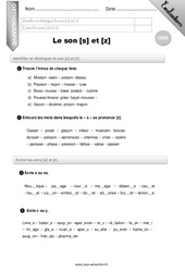 Le son s ou z - Examen Evaluation - Bilan : Primaire 4 - PDF à imprimer