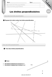 Droites perpendiculaires - Examen Evaluation - Bilan : Primaire 5 - PDF à imprimer