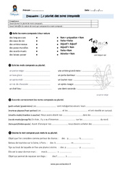 Pluriel des mots composés - Examen Evaluation - Bilan : Primaire 5 - PDF à imprimer
