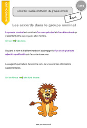Les accords dans le groupe nominal - Cours, Leçon : Primaire 4 - PDF à imprimer