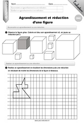 Agrandissement et réduction d'une figure - Examen Evaluation - Bilan : Primaire 5 - PDF à imprimer