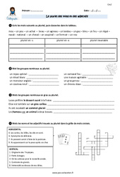 Le pluriel des noms et des adjectifs - Exercices avec correction : Primaire 5 - PDF à imprimer