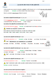 Le pluriel des noms et des adjectifs - Cours, Leçon : Primaire 5 - PDF à imprimer