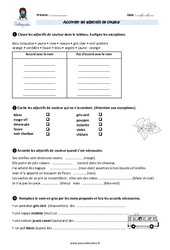 Accorder les adjectifs de couleur - Exercices avec correction : Primaire 5 - PDF à imprimer