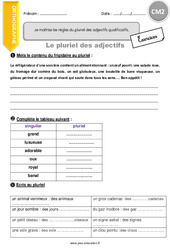 Pluriel des adjectifs - Exercices avec correction : Primaire 5 - PDF à imprimer