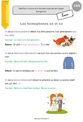 Homophones en - se et - ce - Cours, Leçon : Primaire 4 - PDF à imprimer
