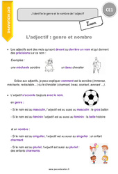 Genre et le nombre de l’adjectif - Cours, Leçon : Primaire 2 - PDF à imprimer
