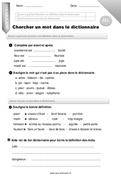Chercher un mot dans le dictionnaire - Examen Evaluation - Bilan : Primaire 2 - PDF à imprimer