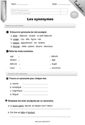 Synonymes - Examen Evaluation - Bilan : Primaire 2 - PDF à imprimer