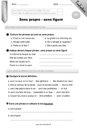 Sens propre - Sens figuré - Examen Evaluation - Bilan : Primaire 2 - PDF à imprimer