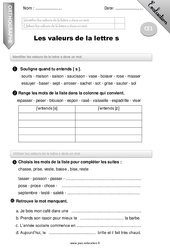 Valeurs de la lettre - s - Examen Evaluation - Bilan : Primaire 2 - PDF à imprimer