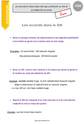 Accords dans le GN - Groupe nominal - Cours, Leçon : Primaire 5 - PDF à imprimer