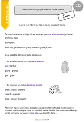 Lettres finales muettes - Cours, Leçon : Primaire 3 - PDF à imprimer