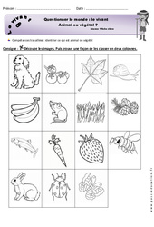 Animal ou végétal - Exercices  : Primaire 1 - PDF à imprimer