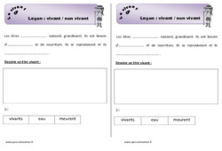 Vivant et non vivant - Cours, Leçon : Primaire 1 - PDF à imprimer