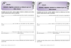 Animal, végétal ou minéral - Cours, Leçon : Primaire 2 - PDF à imprimer