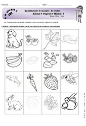 Animal, végétal ou minéral - Exercices  : Primaire 2 - PDF à imprimer