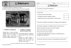 L'éléphant - Lecture documentaire : Primaire 2 - PDF à imprimer