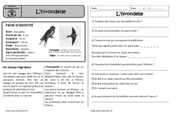 L'hirondelle - Lecture documentaire : Primaire 2 - PDF à imprimer