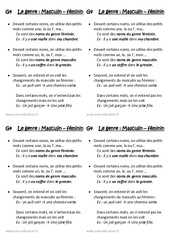 Masculin - Féminin - Le genre - Cours, Leçon : Primaire 2 - PDF à imprimer