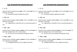 Homophones grammaticaux - Cours, Leçon : Primaire 2 - Cycle 2 - PDF à imprimer