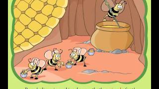 Les abeilles et les ours - Animaux en anglais : Primaire 3, 4, 5