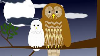 Animaux qui s'entraident - Anglais : Primaire 3, 4, 5