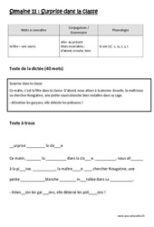 Surprise dans la classe - Dictée préparée - Semaine 11 : Primaire 2 - PDF à imprimer