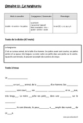 Le kangourou - Dictée préparée - Semaine 13 : Primaire 2 - PDF à imprimer