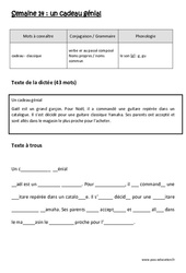 Un cadeau génial - Dictée préparée - Semaine 14 : Primaire 2 - PDF à imprimer