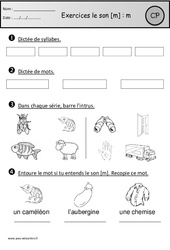 Révisions - Son m - Etude des sons : Primaire 1 - PDF à imprimer