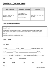 Une belle sortie - Dictée préparée - Semaine 16 : Primaire 2 - PDF à imprimer