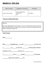 Mon chat - Dictée préparée - Semaine 17 : Primaire 2 - PDF à imprimer
