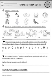 Exercices - Son ch - Etude des sons : Primaire 1 - PDF à imprimer