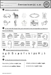 Exercices - Son s - s, ss - Etude des sons : Primaire 1 - PDF à imprimer