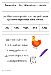 Les déterminants pluriels - Affiche pour la classe - Grammaire : Primaire 1 - PDF à imprimer