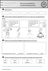 Révisions - Déterminants pluriels - Grammaire : Primaire 1 - PDF à imprimer