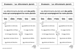 Déterminants pluriels - Cours, Leçon : Primaire 1 - PDF à imprimer